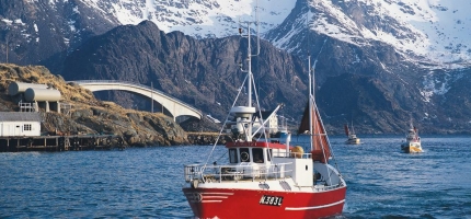 Vil at fiskerne skal hjelpe forskerne å overvåke fiskebestandene Vil at fiskerne skal hjelpe forskerne å overvåke fiskebestandene