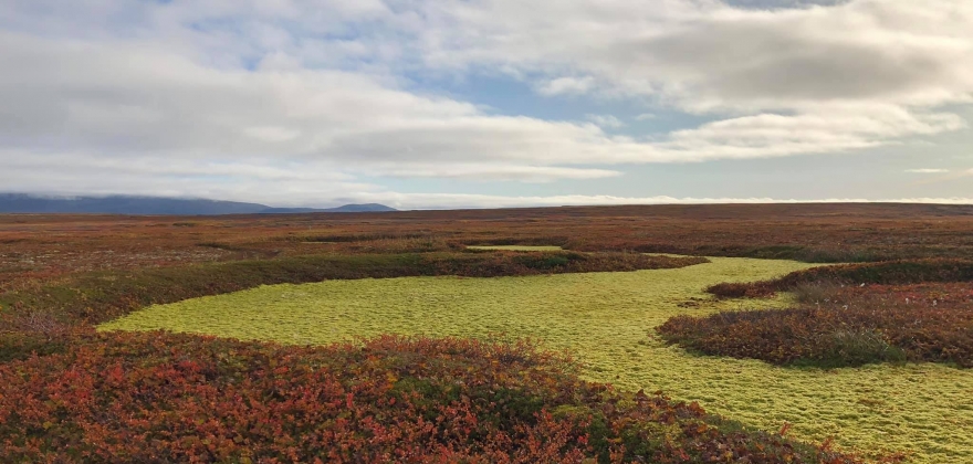 Støtte til Store Tamsøy ANS fra Sametingsrådet  Støtte til Store Tamsøy ANS fra Sametingsrådet