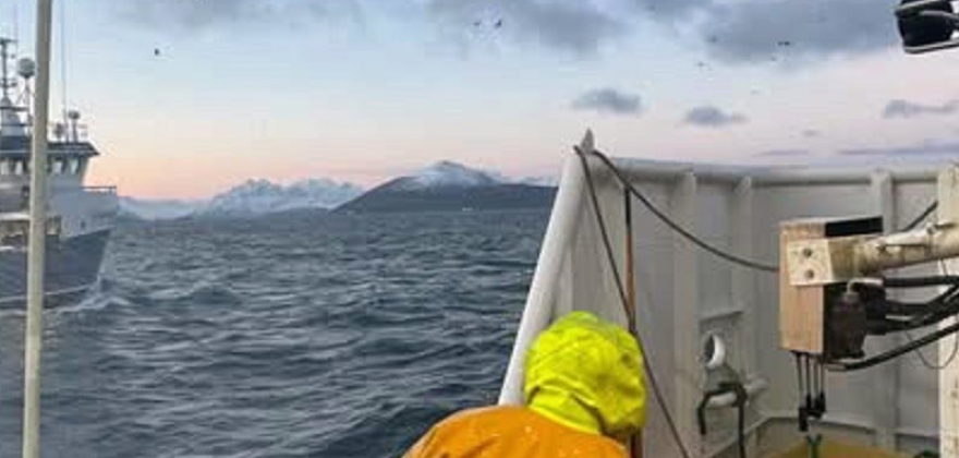 Litt mindre fisk Litt mindre fisk