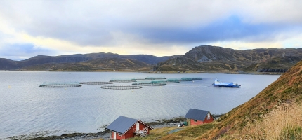 Milliarder fra havbruksfondet smører norsk kommuneøkonomi Milliarder fra havbruksfondet smører norsk kommuneøkonomi