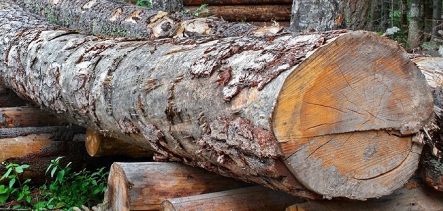 Kommunen får bruke Nordmannset til rigg- og anleggsområde Kommunen får bruke Nordmannset til rigg- og anleggsområde