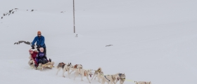 Inviterer til hundekjøring i Nordkapp Inviterer til hundekjøring i Nordkapp