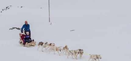Inviterer til hundekjøring i Nordkapp Inviterer til hundekjøring i Nordkapp