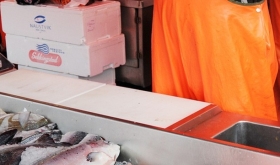 Statsforvalteren har avdekket avvik hos Kamøyvær Fisk AS Statsforvalteren har avdekket avvik hos Kamøyvær Fisk AS