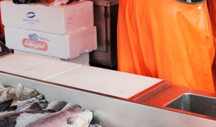 Statsforvalteren har avdekket avvik hos Kamøyvær Fisk AS Statsforvalteren har avdekket avvik hos Kamøyvær Fisk AS