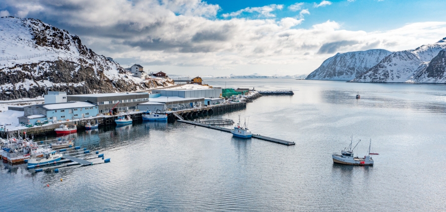 Torskefisket i Finnmark Torskefisket i Finnmark