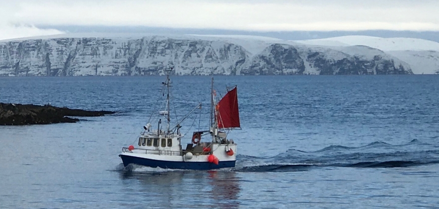 Kan ikke kjøp fisk Kan ikke kjøp fisk