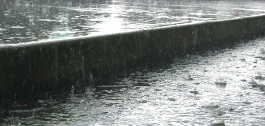 Vått i juli  Vått i juli