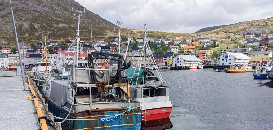 Havna er til for båter Havna er til for båter