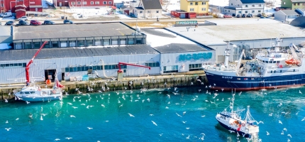 Bra fiske i Finnmark Bra fiske i Finnmark