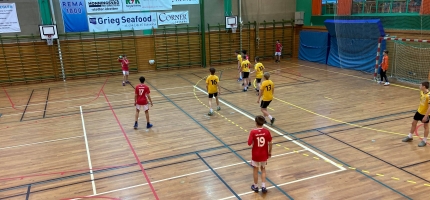 Håndballresultatene Håndballresultatene