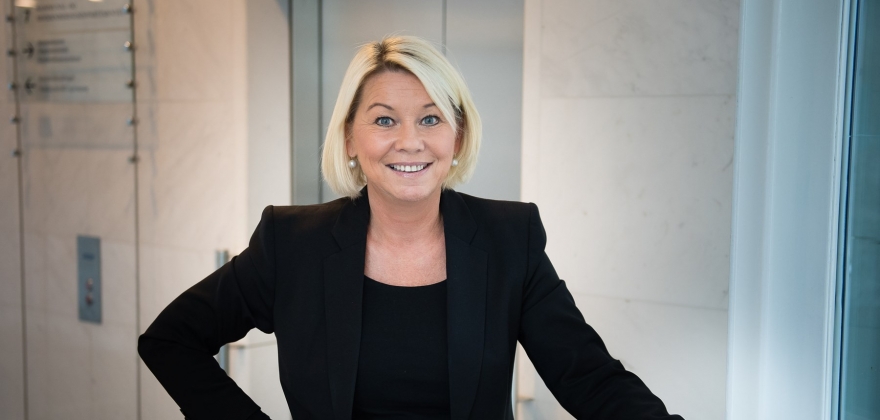 Hvem har ansvaret for grensekontrollen?  Hvem har ansvaret for grensekontrollen?