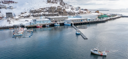 Skulle gjerne produsert mer tørrfisk Skulle gjerne produsert mer tørrfisk