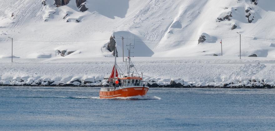 To rekruteringskvoter til unge fiskere p Nordkyn