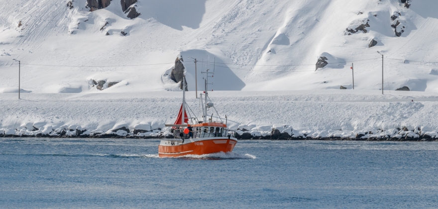 Ingen yrkesfiskere omkom p havet i 2019