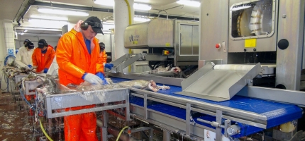 Vil styrke ferskfiskordningen Vil styrke ferskfiskordningen