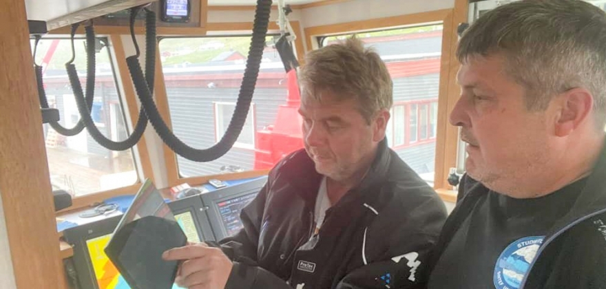 Mener det er altfor mye rapportering Mener det er altfor mye rapportering