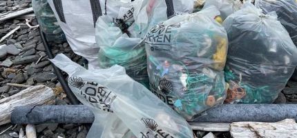 Frivillige har fjernet 13 millioner kilo søppel Frivillige har fjernet 13 millioner kilo søppel