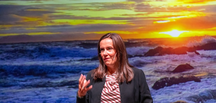 Stabil snøkrabbekvote i 2026 Stabil snøkrabbekvote i 2026
