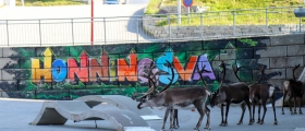 Rein i Lakselv sentrum Rein i Lakselv sentrum