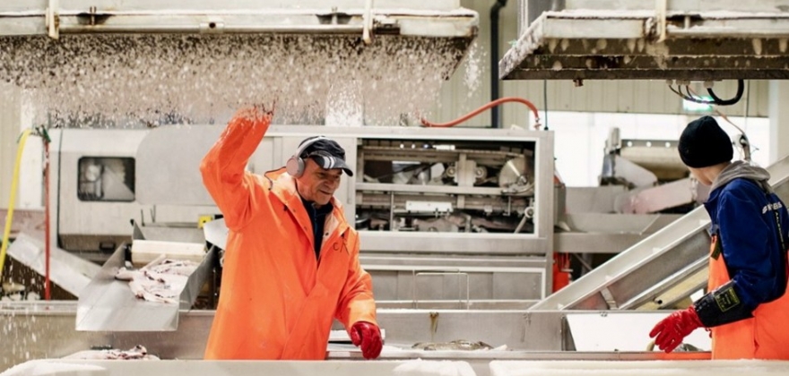 Snart åpner visningssenteret for villfisk  Snart åpner visningssenteret for villfisk