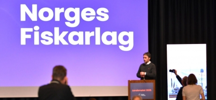 Fiskebåt går ut ved nyttår Fiskebåt går ut ved nyttår