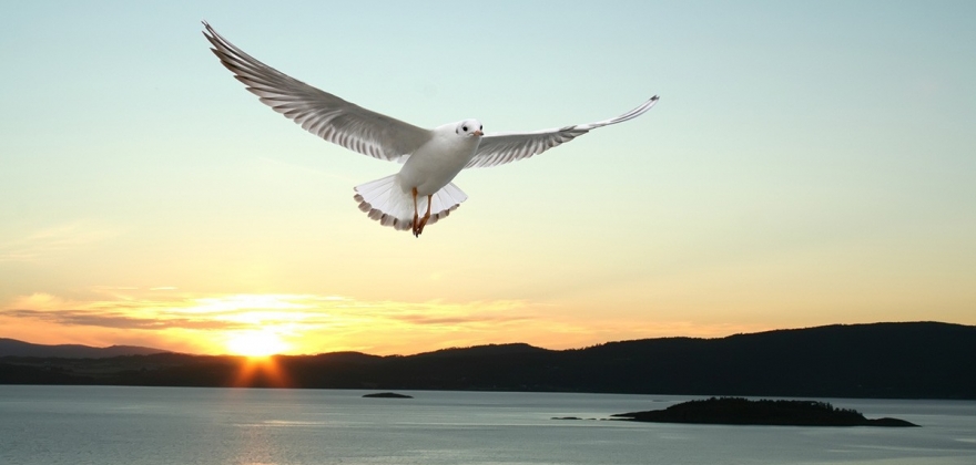 Øst-Finnmark, varmest i landet Øst-Finnmark, varmest i landet