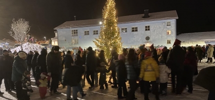 Ber innbyggere om hjelp til å få et fint juletre Ber innbyggere om hjelp til å få et fint juletre